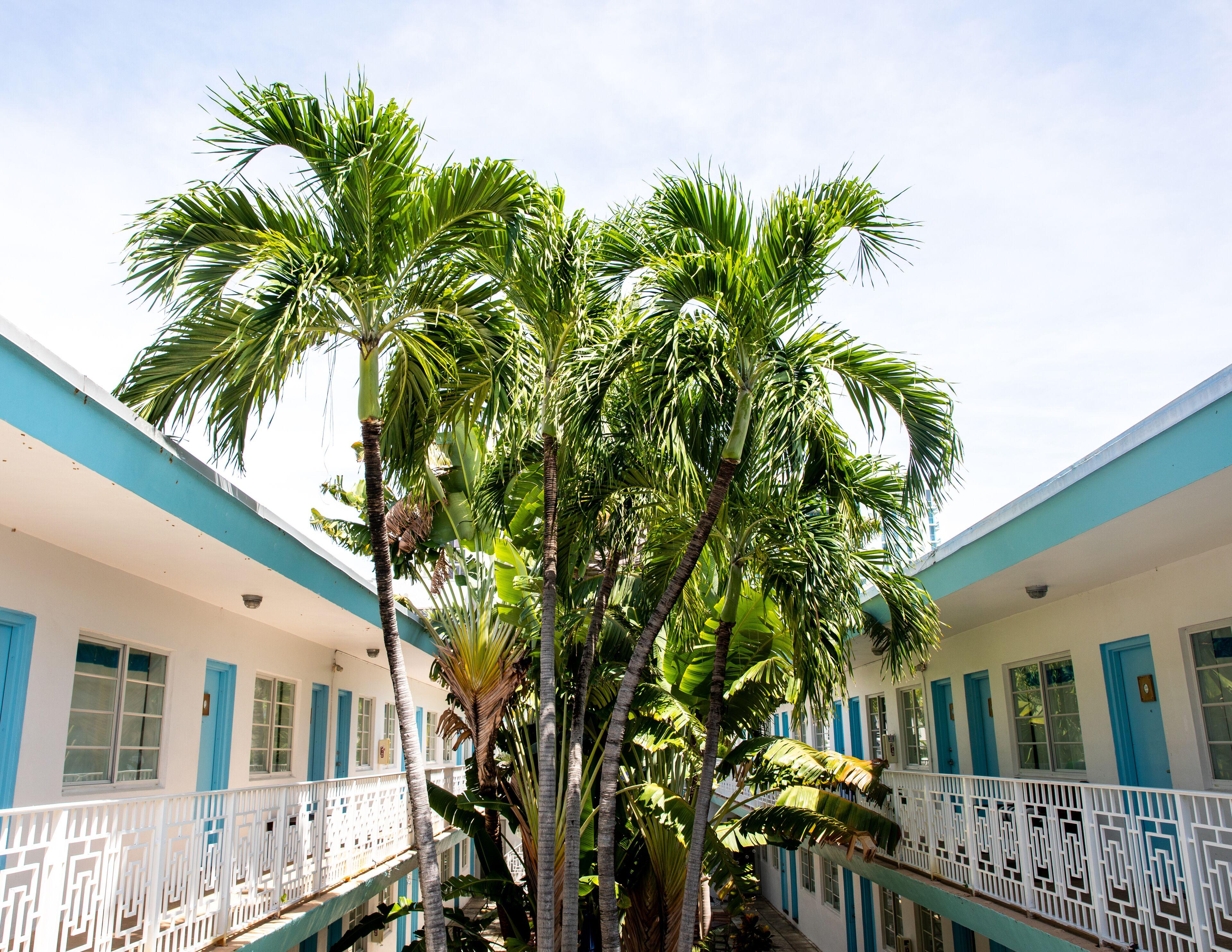 Aqua Hotel & Suites, Miami Beach